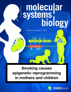  Photo: © Molecular Systems Biology