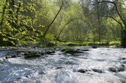 Using process-based ecological models that accommodate key biological mechanisms, scientists are attempting to better understand and predict climate-change-related alterations in biodiversity and resulting ecosystem functions. Photo: UFZ / André Künzelmann