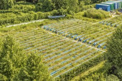 The UFZ researchers based in Leipzig use an experimental facility consisting of 47 gutters in order to quantify the effects of agricultural chemicals on lifelike ecosystems and to validate their mechanistic models  for risk assessment. Photo: UFZ / André Künzelmann