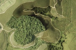 Die Luftaufnahme zeigt Waldfragmente des Brasilianischen Atlantischen Regenwaldes im Nordosten Brasiliens, umgeben von Zuckerrohrplantagen. Foto: Usina Trapiche S/A