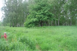 Groundwater monitoring point in the HCH (hexachlorocyclohexanes) contaminated flood zone of Mulde, Germany. Photo: UFZ archive