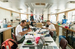 In 2013, thousands of samples were taken as part of the Joint Danube Survey 3. In the on-board lab below deck, the first in-situ analyses were carried out and samples were processed and preserved. Photo: UFZ / André Künzelmann