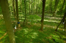 The TERENO Observatory in the Harz is to become a part of the EU infrastructure eLTER. Photo: UFZ / André Künzelmann