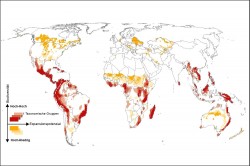 Die Weltkarte veranschaulicht, wo eine Ausweitung der landwirtschaftlichen Nutzung die Biodiversität besonders gefährden wird (rote Markierungen). Die gelb markierten Flächen weisen dagegen eine niedrige Artenvielfalt auf. Eine Expansion der landwirtschaftlichen Flächen in diesen Regionen, würde also einen weniger starken Verlust an Artenvielfalt bedeuten. Foto: Florian Zabel / Tomá Václavík