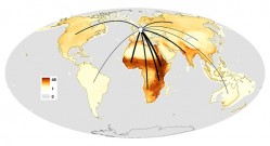 Map of the regions that are home to species with existence value for Germany. The colour scale represents the number of species that occur in parallel in a given location (maximum value for Germany 48). Shaded areas represent hotspots (the most species-rich 2% of the Earth's surface). Curved black lines show the flows of existence value from regions that provide ecosystem services to Germany (line thickness corresponds to number of species at the point of origin in the region). Photo: Originalpublikation https://rdcu.be/bRP2s