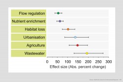 Wastewater, agriculture and urbanization have the biggest absolute impact on the multifunctionality of streams and rivers.