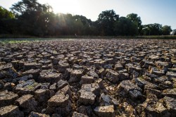 Klimawandel verst�rkt extreme Hitze im Boden