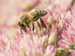  Foto: UFZ / André Künzelmann