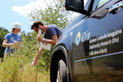 iDiv-Wissenschaftler bei Vegetationsaufnahme. Feldarbeit ist ein wichtiger Bestandteil der iDiv-Forschung. Foto: Stefan Bernhardt, iDiv iDiv-Wissenschaftler bei Vegetationsaufnahme. Feldarbeit ist ein wichtiger Bestandteil der iDiv-Forschung. Foto: Stefan Bernhardt, iDiv