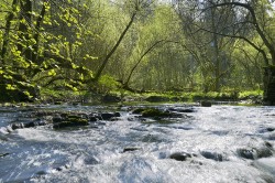 Mit prozessbasierten ökologischen Modellen, die biologische Schlüsselmechanismen einbeziehen, versuchen Wissenschaftler, die durch den Klimawandel verursachten Veränderungen in der Artenstruktur und den sich daraus ergebenden Ökosystemfunktionen besser zu verstehen und vorherzusagen. Foto: UFZ / André Künzelmann Mit prozessbasierten ökologischen Modellen, die biologische Schlüsselmechanismen einbeziehen, versuchen Wissenschaftler, die durch den Klimawandel verursachten Veränderungen in der Artenstruktur und den sich daraus ergebenden Ökosystemfunktionen besser zu verstehen und vorherzusagen. Foto: UFZ / André Künzelmann