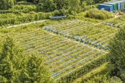 Die Wissenschaftler des UFZ in Leipzig nutzen eine Experimentalanlage aus 47 Fließrinnen, um die Effekte von Pflanzenschutzmitteln auf naturnahe Ökosysteme zu quantifizieren und ihre Modelle zur Risikobewertung zu validieren. Foto: UFZ / André Künzelmann Die Wissenschaftler des UFZ in Leipzig nutzen eine Experimentalanlage aus 47 Fließrinnen, um die Effekte von Pflanzenschutzmitteln auf naturnahe Ökosysteme zu quantifizieren und ihre Modelle zur Risikobewertung zu validieren. Foto: UFZ / André Künzelmann
