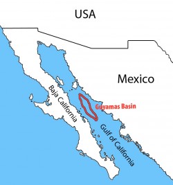 The samples are from the Guaymas Basin in the Gulf of California. Photo: MPI Bremen The samples are from the Guaymas Basin in the Gulf of California. Photo: MPI Bremen