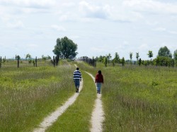 Recreation is a service ecosystems provide to mankind. Photo: Roland Krämer