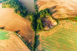 Hecken als ökologische Vorrangfläche im Eichsfeld: Biotopvernetzung für Fauna und Flora Foto: Thomas Hesse