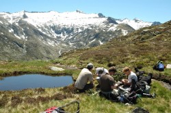 Monitoring von Amphibienpopulationen und deren Krankheitserregern in den französischen Pyrenäen. Im Hintergrund ist der Pic Rouge zu erkennen. Foto: Dirk Schmeller Monitoring von Amphibienpopulationen und deren Krankheitserregern in den französischen Pyrenäen. Im Hintergrund ist der Pic Rouge zu erkennen. Foto: Dirk Schmeller