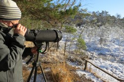 Vogelbeobachtung und -zählung in der winterlichen Dübener Heide. Foto: Dirk Schmeller Vogelbeobachtung und -zählung in der winterlichen Dübener Heide. Foto: Dirk Schmeller
