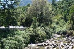 Lachs-Aquakultur am Rio Niltre, einem kleinen Fluss in Chile. Hier wird die jüngste Generation der Lachse aufgezogen. Die Abwässer werden durch ein Rohr (Bildmitte) in den Fluss geleitet. Foto: Norbert Kamjunke Lachs-Aquakultur am Rio Niltre, einem kleinen Fluss in Chile. Hier wird die jüngste Generation der Lachse aufgezogen. Die Abwässer werden durch ein Rohr (Bildmitte) in den Fluss geleitet. Foto: Norbert Kamjunke