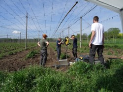 Die Sedimente der Weißen Elster werden mit Rammkernsondierungen erkundet. Foto: Hans von Suchodoletz/Universität Leipzig Die Sedimente der Weißen Elster werden mit Rammkernsondierungen erkundet. Foto: Hans von Suchodoletz/Universität Leipzig