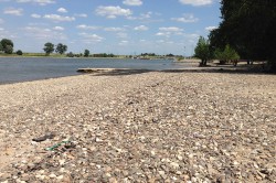 Niedrigwasserperiode im Sommer 2015 am Rhein bei Krefeld Foto: Andreas Marx / UFZ