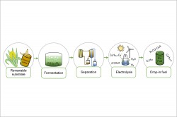 Process line of the proposed combined microbial electrochemical conversion to yield drop-in fuel from biomass. Photo: UFZ / Carolin Urban und Falk Harnisch Process line of the proposed combined microbial electrochemical conversion to yield drop-in fuel from biomass. Photo: UFZ / Carolin Urban und Falk Harnisch