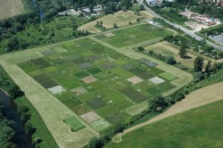 Due to its breadth, the Jena experiment proves for the first time that a loss of biodiversity has negative consequences for many individual components and processes in ecosystems. Photo: The Jena Experiment Due to its breadth, the Jena experiment proves for the first time that a loss of biodiversity has negative consequences for many individual components and processes in ecosystems. Photo: The Jena Experiment