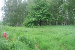 Groundwater monitoring point in the HCH (hexachlorocyclohexanes) contaminated flood zone of Mulde, Germany. Photo: UFZ archive Groundwater monitoring point in the HCH (hexachlorocyclohexanes) contaminated flood zone of Mulde, Germany. Photo: UFZ archive