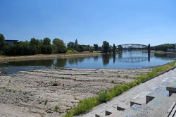 Elbufer am trockengelegten Domfelsen in Magdeburg am 24. Juli 2018. Foto: Michael Beyer, UFZ Elbufer am trockengelegten Domfelsen in Magdeburg am 24. Juli 2018. Foto: Michael Beyer, UFZ