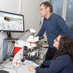 Ökotoxikologen nutzen ein VAST-System zur automatisierten Bildaufnahme von Fischembryonen. Foto: ©Bodo Tiedemann