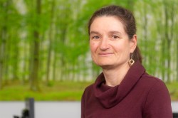 Dr. Sabine König Foto: André Künzelmann / UFZ