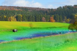 Erfassung der Bodenfeuchte mit mobilen Neutronensonden Foto: Martin Schrön, UFZ