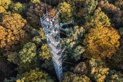 Messturm im Hohen Holz Foto: UFZ, André Künzelmann