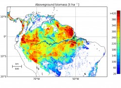 Waldbiomasse im Amazonas im Jahre 2005. Durch die Verknüpfung des Waldmodells FORMIND mit Daten des Satelliten ICESat konnte eine detaillierte Biomassenkarte erstellt werden. Insgesamt waren demnach 76 Milliarden Tonnen Kohlenstoff im Amazonas-Regenwald gebunden. Regionen mit einer roten Einfärbung zeigen Gebiete mit besonders viel Biomasse. Foto: aus Veröffentlichung Rödig et al., Global Ecol Biogeogr. 2017 Waldbiomasse im Amazonas im Jahre 2005. Durch die Verknüpfung des Waldmodells FORMIND mit Daten des Satelliten ICESat konnte eine detaillierte Biomassenkarte erstellt werden. Insgesamt waren demnach 76 Milliarden Tonnen Kohlenstoff im Amazonas-Regenwald gebunden. Regionen mit einer roten Einfärbung zeigen Gebiete mit besonders viel Biomasse. Foto: aus Veröffentlichung Rödig et al., Global Ecol Biogeogr. 2017