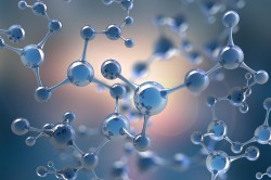  Photo: Siarhei_AdobeStock