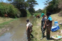 Feldversuche in Kenia. Deutsche und kenianische Wissenschaftler haben 48 Fließgewässer auf Pestizidbelastung, Zusammensetzung der Lebensgemeinschaften und Schneckenvorkommen untersucht. Foto: UFZ Feldversuche in Kenia. Deutsche und kenianische Wissenschaftler haben 48 Fließgewässer auf Pestizidbelastung, Zusammensetzung der Lebensgemeinschaften und Schneckenvorkommen untersucht. Foto: UFZ