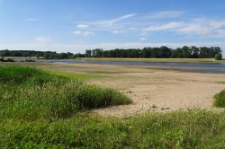 Elbe bei Schönberg im Juni 2018 Foto: ©Matthias Koschorreck