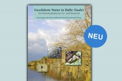 Geschützte Natur in Halle (Saale). Eine Bestandsaufnahme der Tier- und Pflanzenwelt. Verlag Natur+Text Foto: 