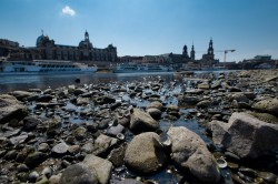 Low water at the river Elbe in Dresden (Germany) in 2018 Photo: André Künzelmann / UFZ