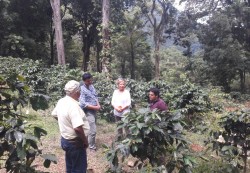 Vertreter des nationalen Verbands der Kaffee-Produzenten in Honduras IHCafé erklären das Produktionssystem nahe des Nationalparks. Foto: Yves Zinngrebe