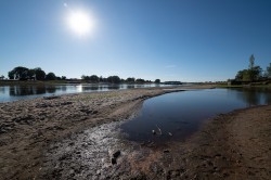 Niedrigwasser der Elbe bei Barby Foto: André Künzelmann / UFZ Niedrigwasser der Elbe bei Barby Foto: André Künzelmann / UFZ