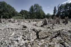  Foto: André Künzelmann/UFZ