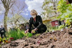 Bundesforschungsministerin Anja Karliczek vergräbt die ersten Teebeutel selbst. Foto: BMBF/Wissenschaftsjahr Bundesforschungsministerin Anja Karliczek vergräbt die ersten Teebeutel selbst. Foto: BMBF/Wissenschaftsjahr