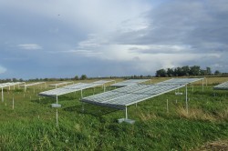 Study site on the Havel River, one of 72 field experiments worldwide whose data were included in the synthesis. Photo: Kristin Ludewig