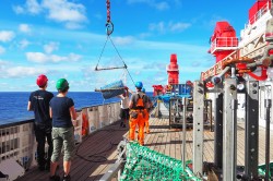 Catching a big blue barrel floating on the ocean surface in the Great Pacific Garbage Patch from the German research vessel SONNE during expedition SO268/3 crossing the North Pacific Ocean. Photo: Roman Kroke / UFZ