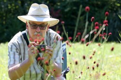 Josef Settele bei Feldarbeiten in der Pfalz Foto: Björn Kray Iversen Josef Settele bei Feldarbeiten in der Pfalz Foto: Björn Kray Iversen