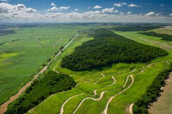 Remains of the Atlantic Forest near Recife, Brazil Photo: CacioM / AdobeStock