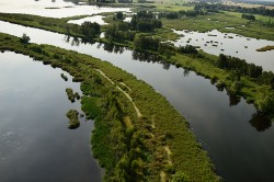 Modellgebiet Oderdelta Foto: Solvin Zankl / Rewilding Europe