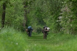 Naturbeobachtungen von Bürgerwissenschaftler:innen. Foto: Detlef Metzer / naturgucker.de Naturbeobachtungen von Bürgerwissenschaftler:innen. Foto: Detlef Metzer / naturgucker.de
