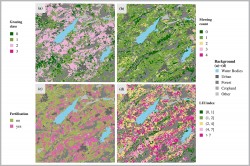 Die Karten a bis d zeigen das aus Satellitendaten abgeleitete Ausmaß einzelner Managementarten in Grünland und der daraus resultierenden Landnutzungsintensität im Landkreis Oberallgäu (Bayern) im Jahr 2018 auf einer 10km×10km großen Fläche. (a) Beweidungsklasse (0-3; geringe bis hohe Intensität). (b) Häufigkeit der Mahd (0-4). (c) Düngung (ja/nein). (d) Landnutzungsintensitäts-Index (LUI): Die Werte sind für Deutschland in fünf Klassen zusammengefasst. Deren Farben reichen von grün (extensive Nutzung) bis magenta (intensive Nutzung). Foto: UFZ