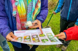 Bestimmungstafeln helfen die Arten zu unterscheiden. Foto: UFZ