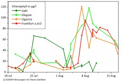 Zeitliche Entwicklung der Algenblüte an verschiedenen Abschnitten der Oder zwischen Lipki und Frankfurt. Klar erkennbar ist die Blüte bei Lipki am 25. Juli, der zeitversetzte Anstieg bei Glogow ab dem 3. August und die weitere Ausbreitung im Flussverlauf bis Frankfurt. Foto: EOMAP / Planet Zeitliche Entwicklung der Algenblüte an verschiedenen Abschnitten der Oder zwischen Lipki und Frankfurt. Klar erkennbar ist die Blüte bei Lipki am 25. Juli, der zeitversetzte Anstieg bei Glogow ab dem 3. August und die weitere Ausbreitung im Flussverlauf bis Frankfurt. Foto: EOMAP / Planet